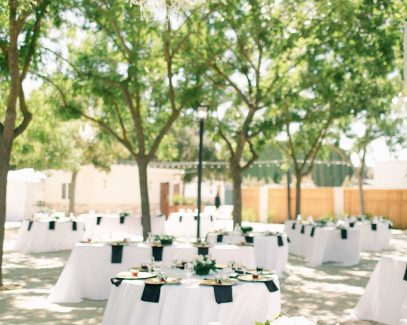 Fox Wedding